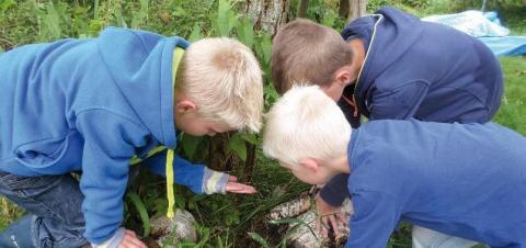 Groene Leerling | Projecten Netwerk Platteland