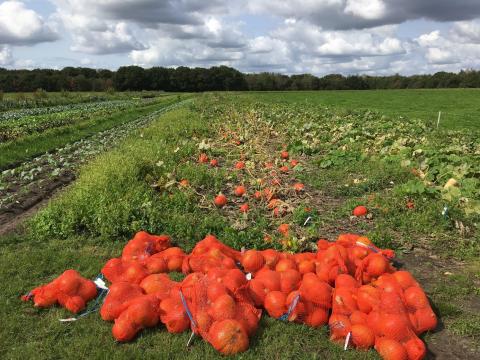 BioPlusKwaliteit | Projecten Netwerk Platteland